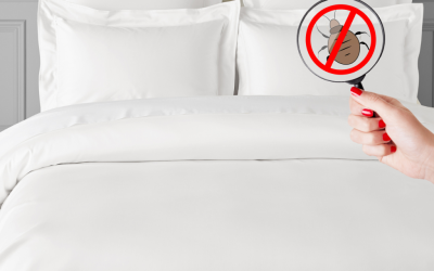 ¿Cómo alargar la vida de las almohadas y al mismo tiempo, ofrecer más confort e higiene en el hotel?
